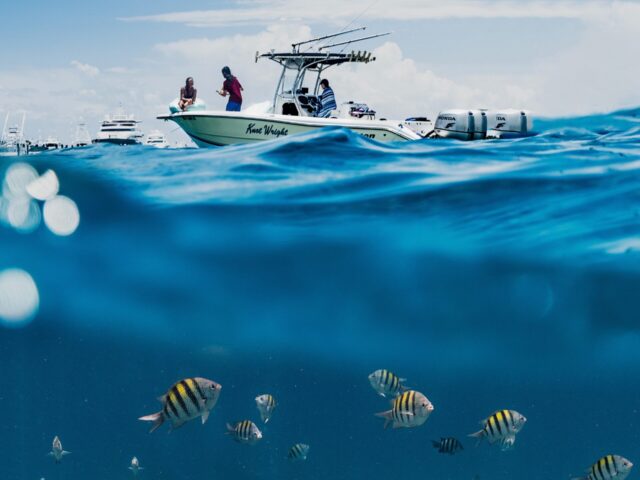 Fishing Trip in Hurghada – Private Tour